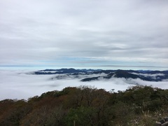 山頂駐車場から見えた雲海の写真。雨上がりなど条件が合うと、雲の上の幻想的な景色に遭遇することもあります