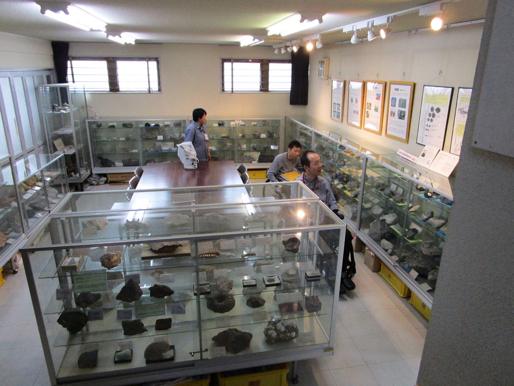 金生山から出土した化石や鉱物の写真