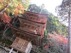 香堂の奥にある三重塔の写真。岐阜県指定重要文化財の檜皮葺の三重塔は、1663年（寛文3年）建造。