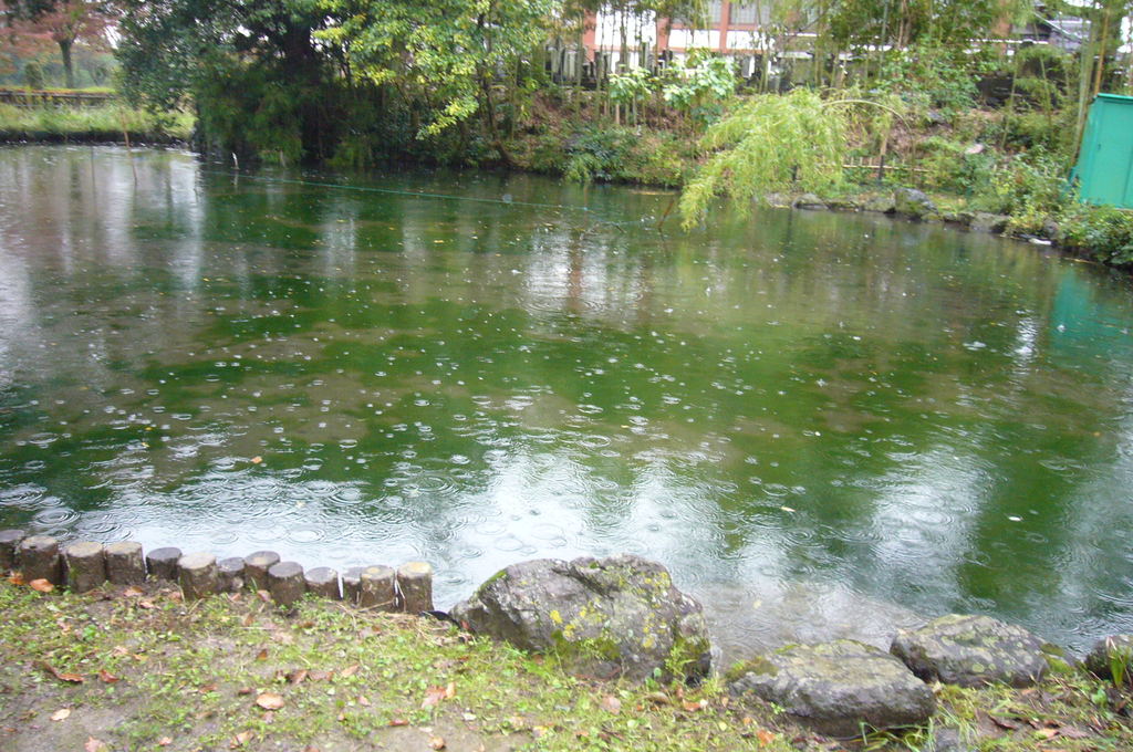 ハリヨの池の写真