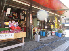 地元で取れた野菜の写真。八幡で採れた野菜を8時30分から毎日売っています