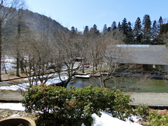 和歌文学館入口前からの写真。和歌文学館は高いところにあるので見下ろす形になります