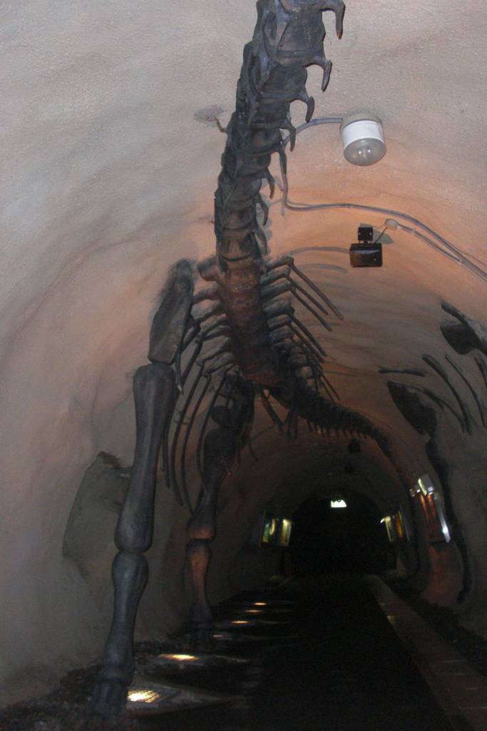 46億年の地球史をトンネルをめぐりながらタイムスリップ体験の写真