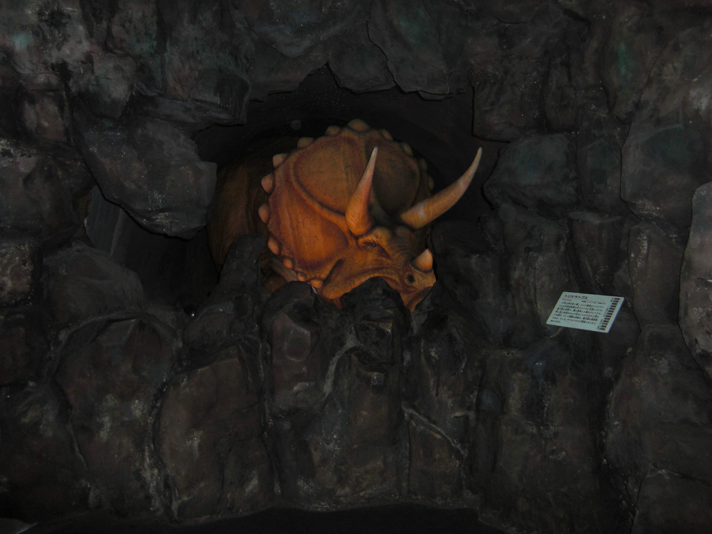 実物大のトリケラトプスの写真
