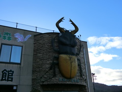昆虫館外観の写真。大きなカブトムシがシンボルです