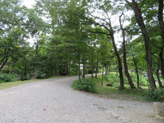 園内の通路の写真。園内の通路は、舗装されていない道や、緩やかな坂があります。