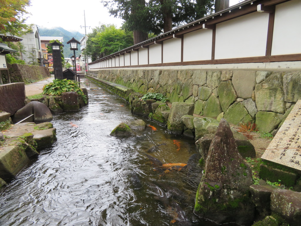 円光寺の白壁の塀に沿って流れる瀬戸川の写真