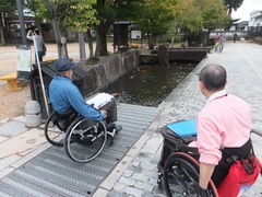 瀬戸川を泳ぐ錦鯉の写真。まつり広場と飛騨の匠文化館の間を流れる瀬戸川には、たくさん錦鯉が泳いでいます