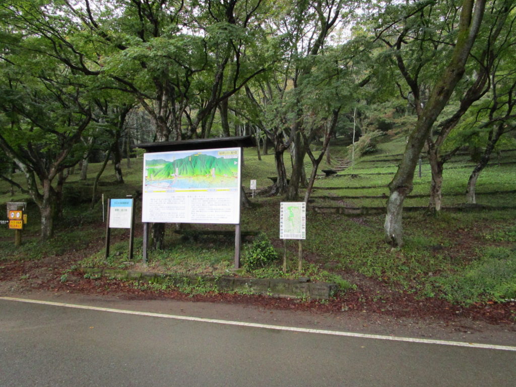 山の斜面一面の桜の木々