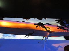 船底からの鵜飼の様子の写真。水中で鵜が鮎をとらえるダイナミックな瞬間が実感できます。