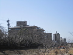 ホテルパークの周りの写真。長良川堤・護国神社、岐阜公園は桜の木が多く見どころです
