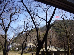 桜の木と金華山の写真。東側の窓越しに、公園の桜と金華山の上の岐阜城が見えます