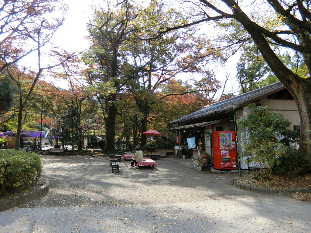 岐阜公園の自然を満喫の写真