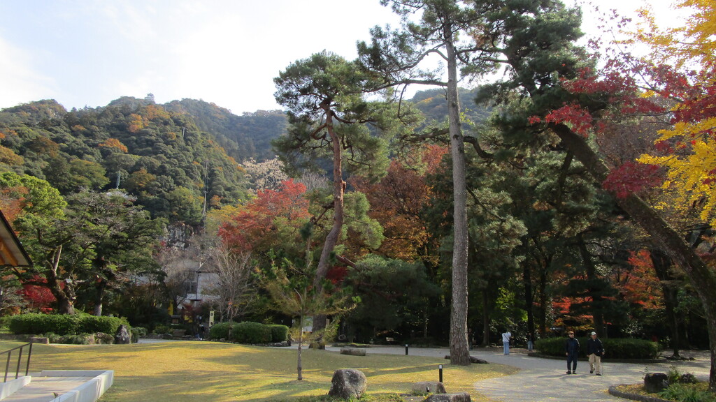金華山の写真