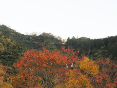 岐阜公園から見上げた金華山の写真。紅葉した金華山とロープウェーの美しい景色