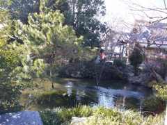 「弘法の梅」そばの古池の写真。池の周りには梅の木があり、宗祇の句碑も建っています