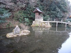 松尾神社の写真。無料駐車場の下に松尾神社があります。大山咋神と市杵島姫命が祀られています