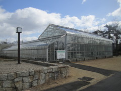 博物館横の熱帯有用植物温室の写真。温室も見学自由です。