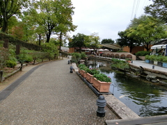新緑と水辺のある通路の写真。BBQ CANVASまでの通路は、舗装され、広く、段差もありません
