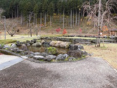 涼しげな池の写真。淡墨桜と芝生広場の間の石で組まれた池。