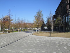 せせらぎの並木 テニテオの写真。周辺は整備され並木道が続きます