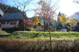 コテージの写真。紅葉した木々の中に、緑の屋根のコテージが立ち並んでいます。