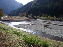 根尾東谷川の写真。パークの横には根尾東谷川が流れ、夏は川遊びが出来ます