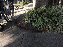 歩道も整備され歩きやすくの写真。植え込みにも金属製の蓋。