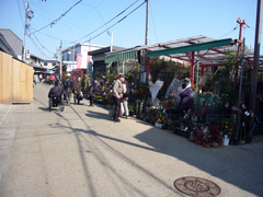 生花・植木・苗木の販売の写真。参道には園芸店があり、果樹や花木、盆栽など色々な植物を販売しています