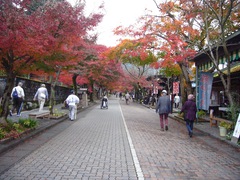 紅葉の参道の写真。紅葉シーズンは参道は人で賑わい歩行者優先に。