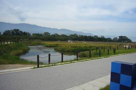 稲穂が実る堀田の写真。養老山脈の山々をバックにした田園風景は懐かしさを感じます