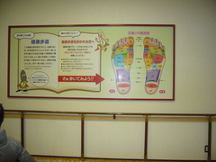 足裏ツボ解説図の写真。健康歩道の壁にある解説図