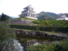 資料館側から見た藤橋城の写真。山々を背景に見上げた城の天守閣が、池の水に映った情景が映えます
