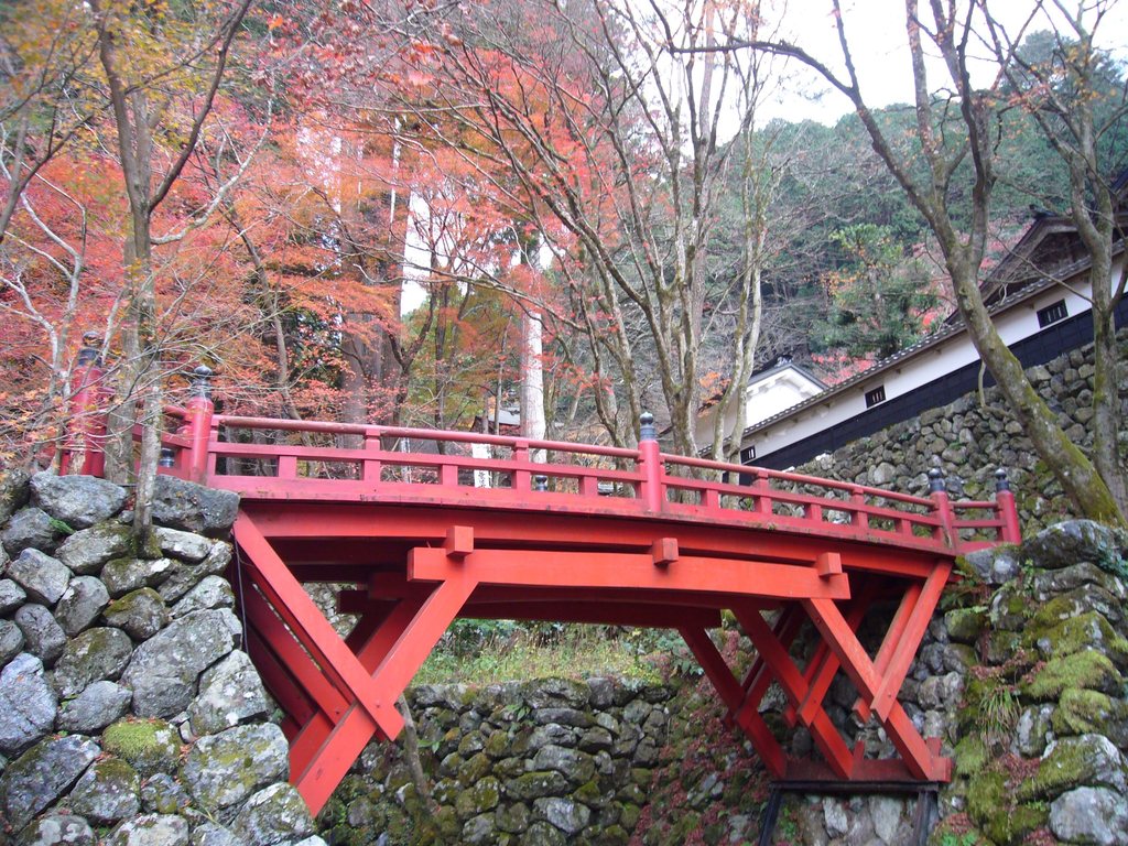 紅葉の名所でもあり「横蔵寺もみじまつり」が開催されライトアップも行われますの写真