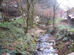 飛鳥川の写真。木々に囲まれた赤い橋かかる川の風景は趣があります