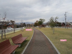 芝生広場の写真。散歩道の両側は、芝生広場になっていて所々にベンチが置いてあります