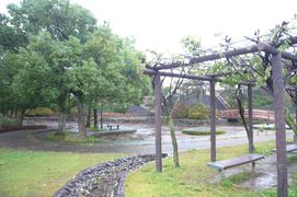 親水広場の写真。池に沿って通路があり樫の木が植えられ木陰にはベンチもあります