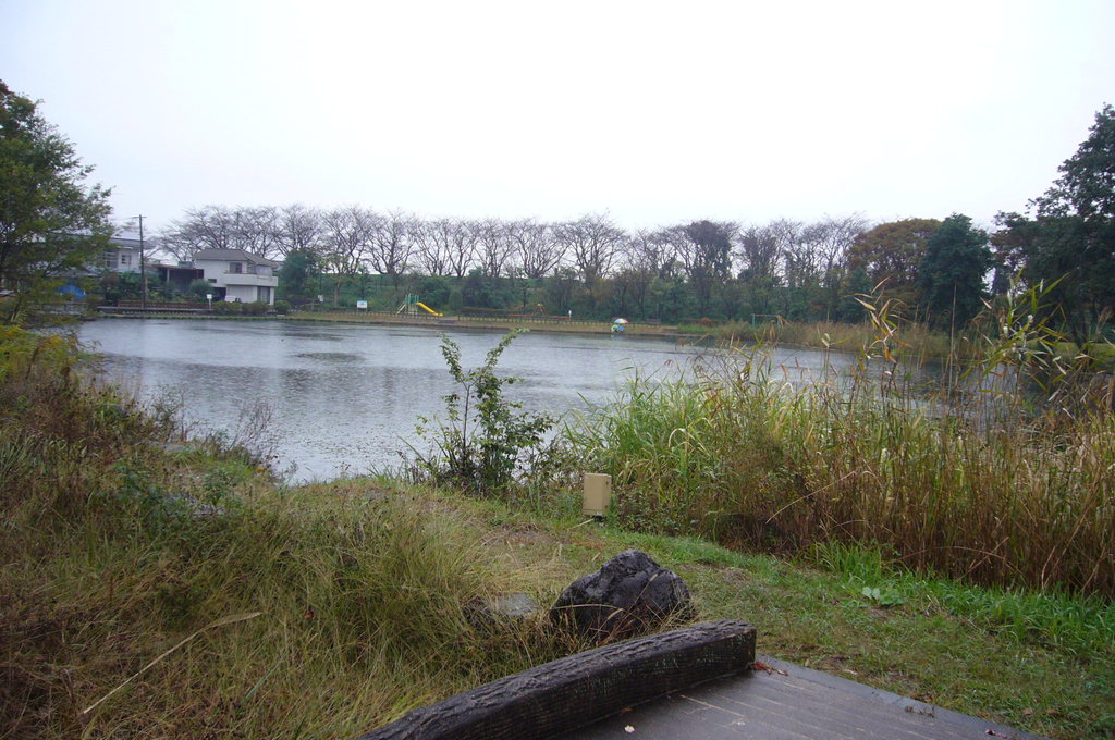 大きな「曽根の池」の写真