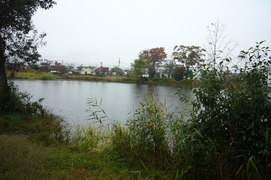 曽根の池の写真。公園の中央に位置し、釣りができます（鑑札が必要）