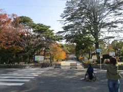 隣は大垣公園の写真。大垣市郷土館は、大垣公園公衆トイレのある西側出入口を、少し南に行った所にあります