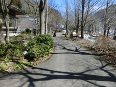 東氏記念館から和歌文学館への道の写真。舗装されていますが、一部ガタガタしたり、施設手前は傾斜があります