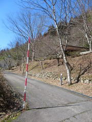 篠脇山荘への道の写真。和歌文学館の裏手、山の中腹にある篠脇山荘への坂道です