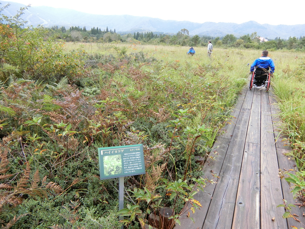 開拓前の手つかずの湿原を保護した植物園の写真