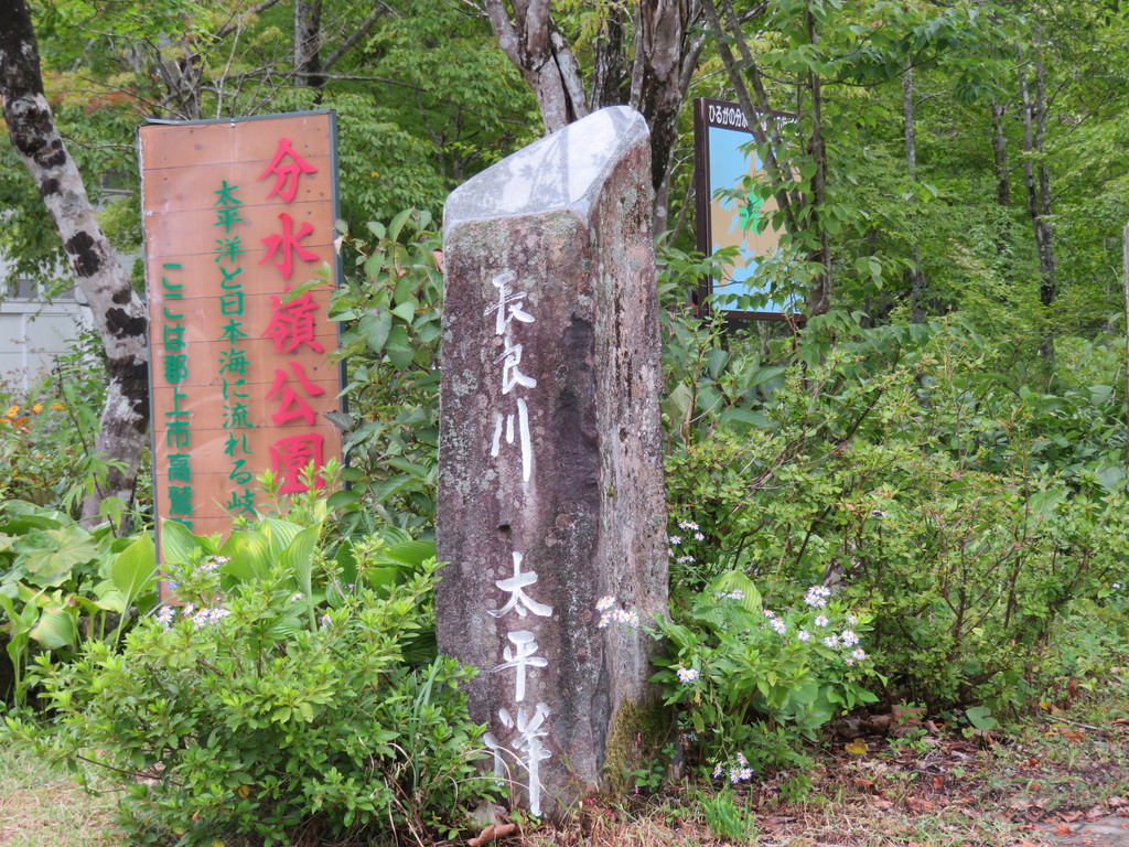 長良川の写真