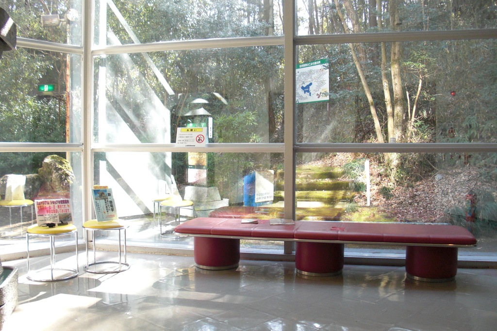 窓の外には豊かな自然の写真