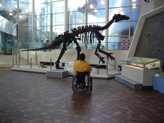 恐竜をバックに写真を撮ろう！の写真。メインのホールの実物大の恐竜模型。