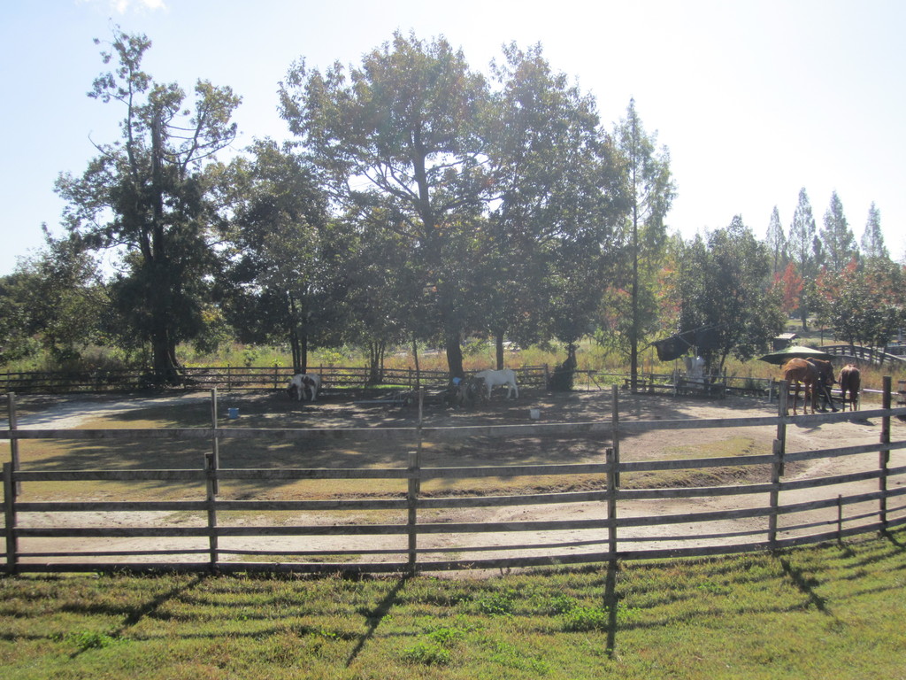 里山ふれあい牧場の写真