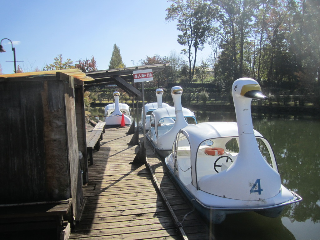 自転車、ゴーカート、ボートなど乗り物も豊富ですの写真