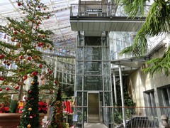 花の地球館の写真。エレベーターで大温室内の展望デッキへ！
