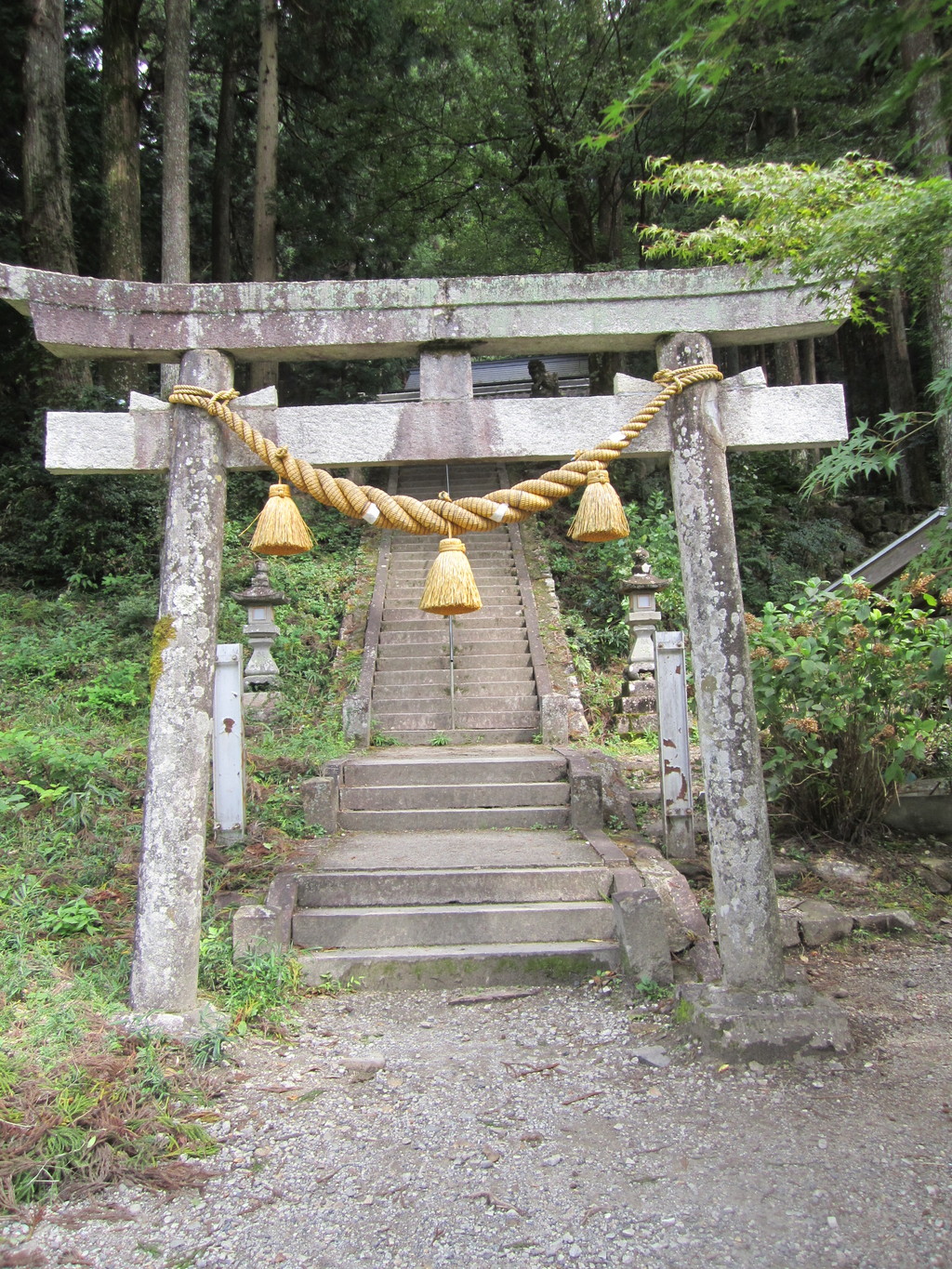 根道神社の写真
